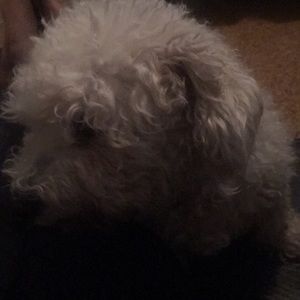 Meet your Posher, Jordan